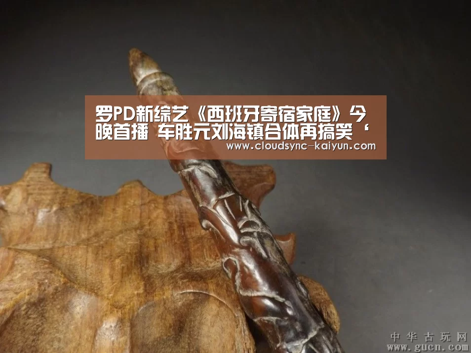 罗PD新综艺《西班牙寄宿家庭》今晚首播 车胜元刘海镇合体再搞笑‘开云下载网址’(图2) 开元